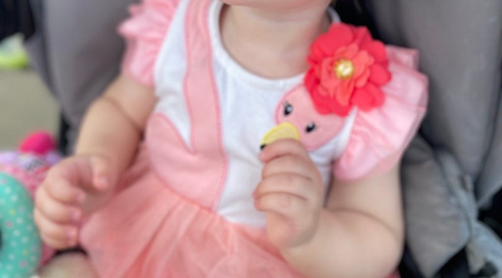 Baby clothes flamingo dress